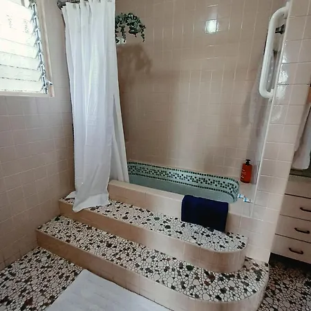 Cariari Bed & Breakfast-3
